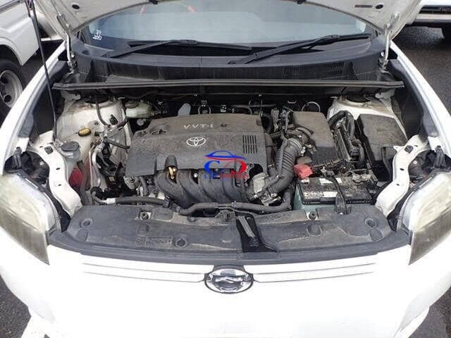 TOYOTA COROLLA RUMION
